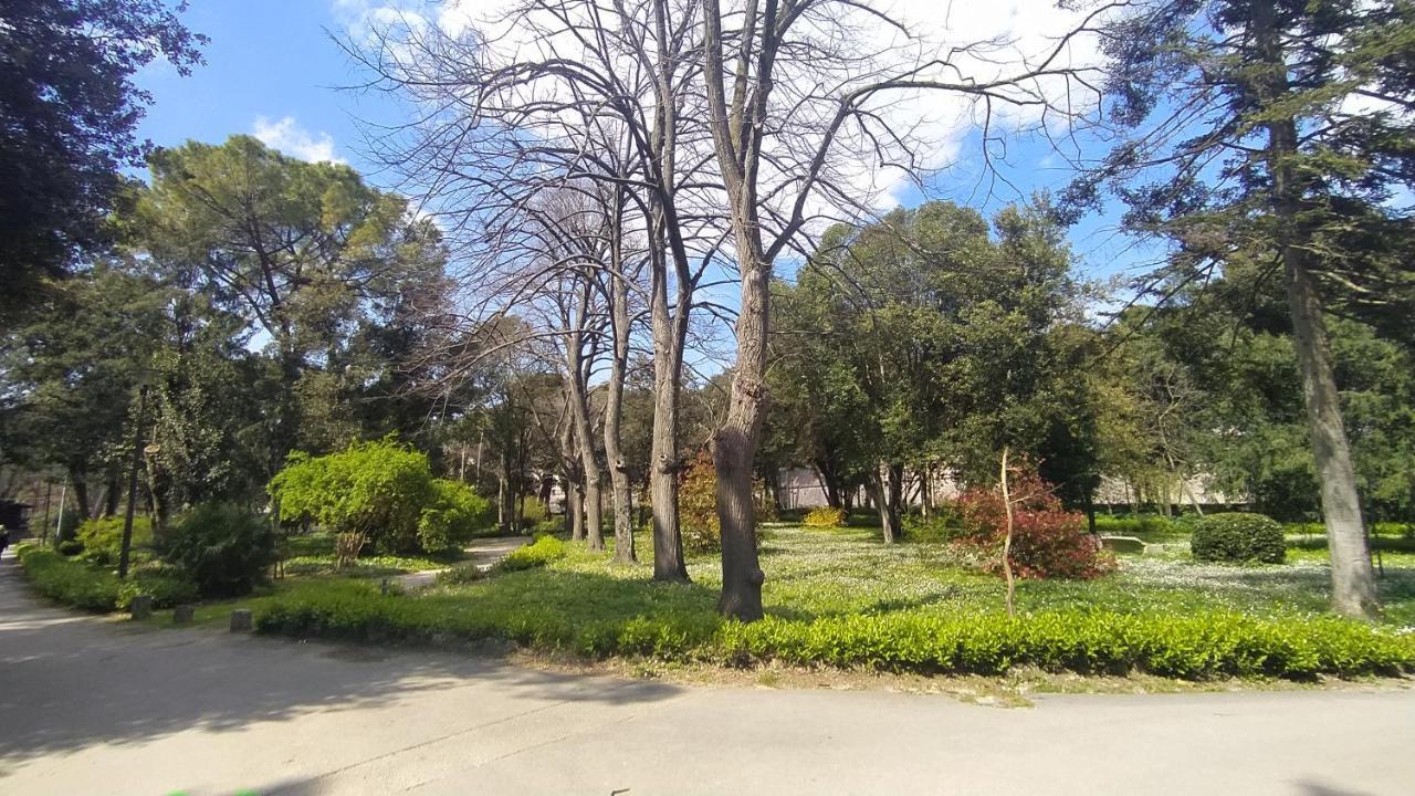 Apartment Antique Zadar - City Center 외부 사진